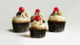 /album/mini-cupcakes-/images-19-jpg/